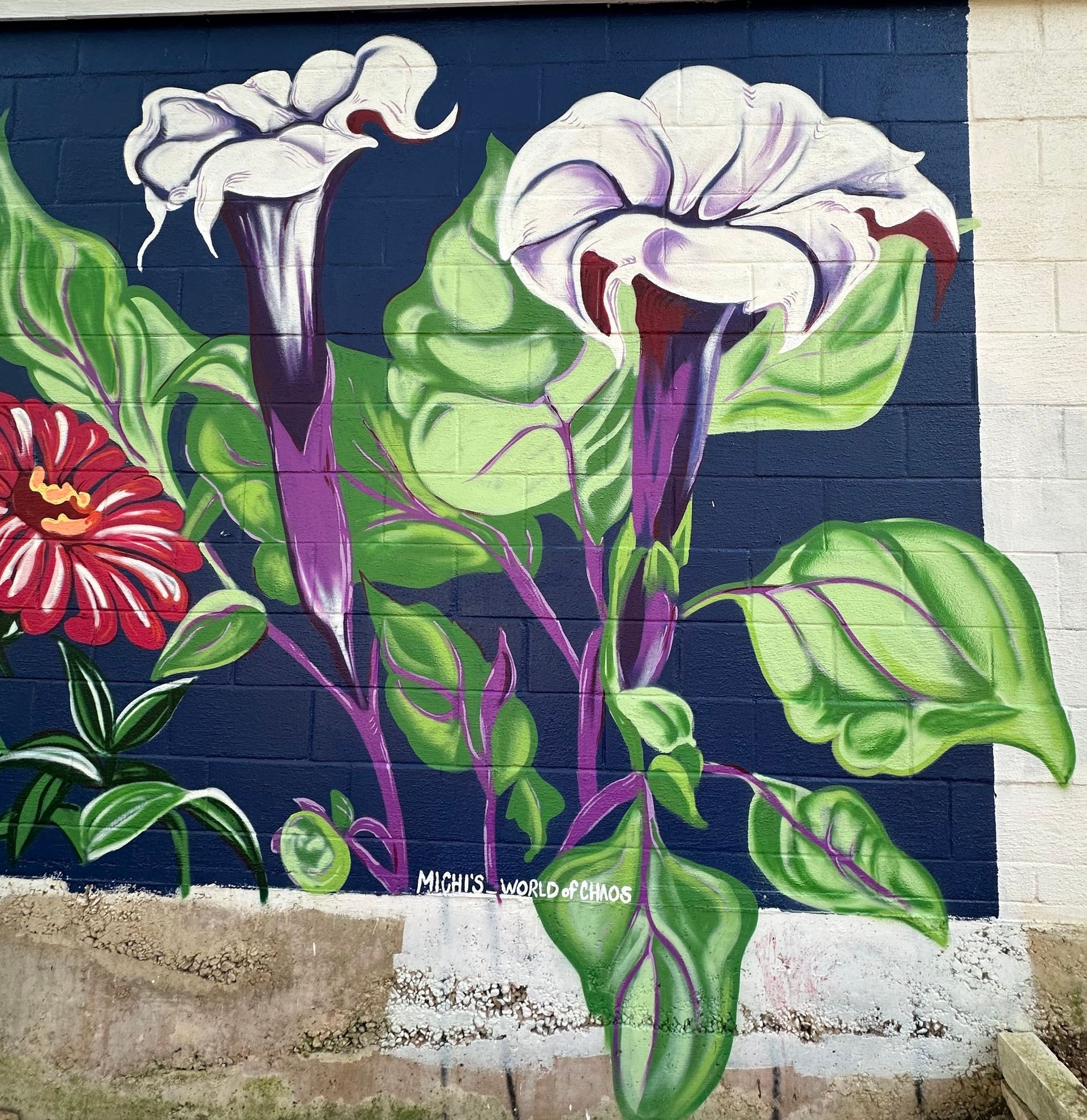 Botanic Muralists Botanical Mural | Michi's Art | San Marcos, TX