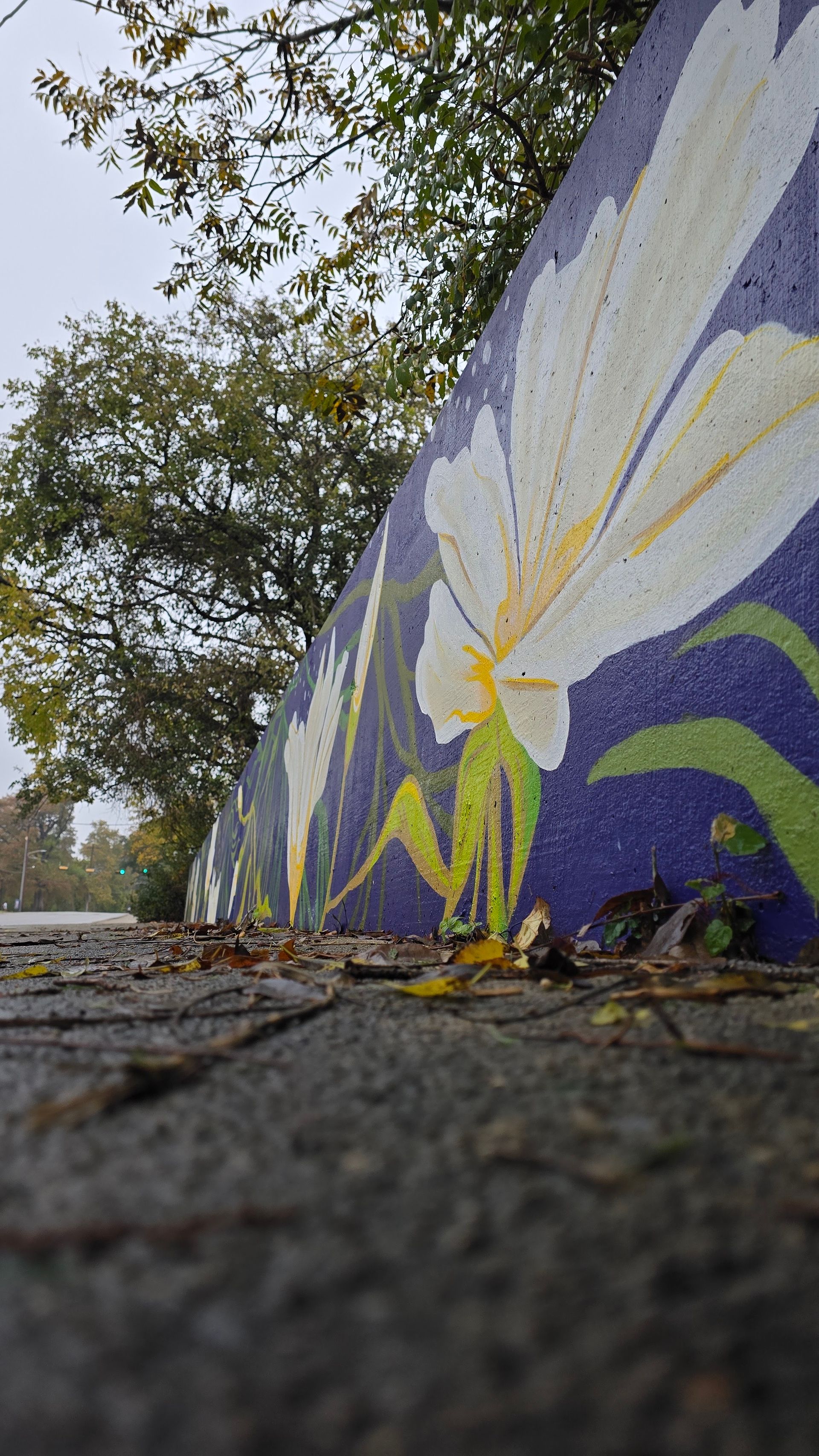 Mural of white flowers on a purple background, low-angle view. Gray pavement and tree in the background.