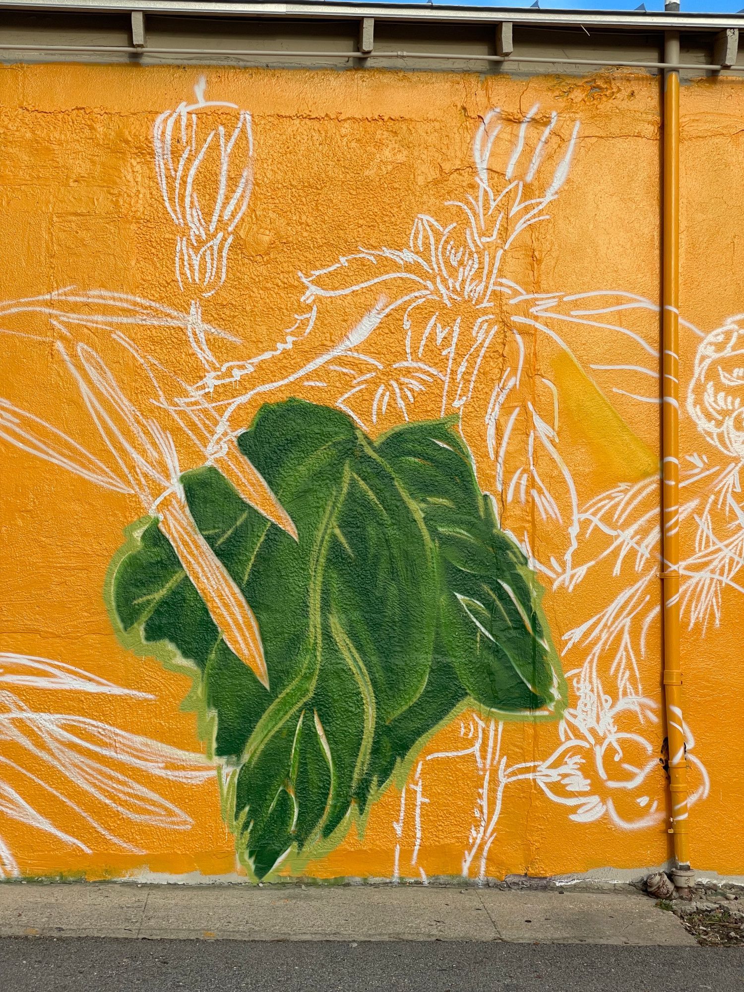 Mural on orange wall, green leaves, carrots, white floral outlines.