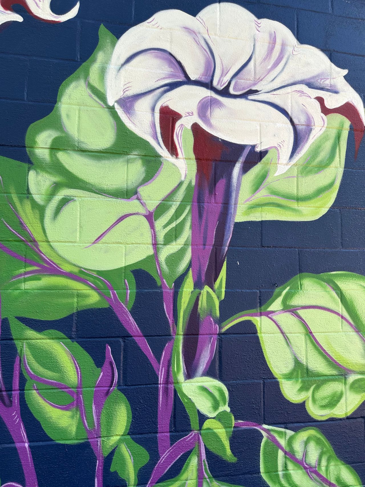Mural of a white flower with purple accents and green leaves against a dark blue brick wall.
