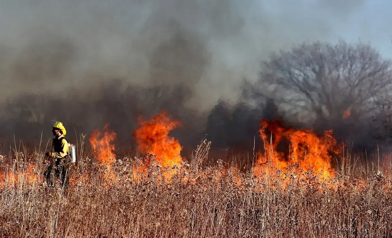 A fireman is standing in front of a field of fire.