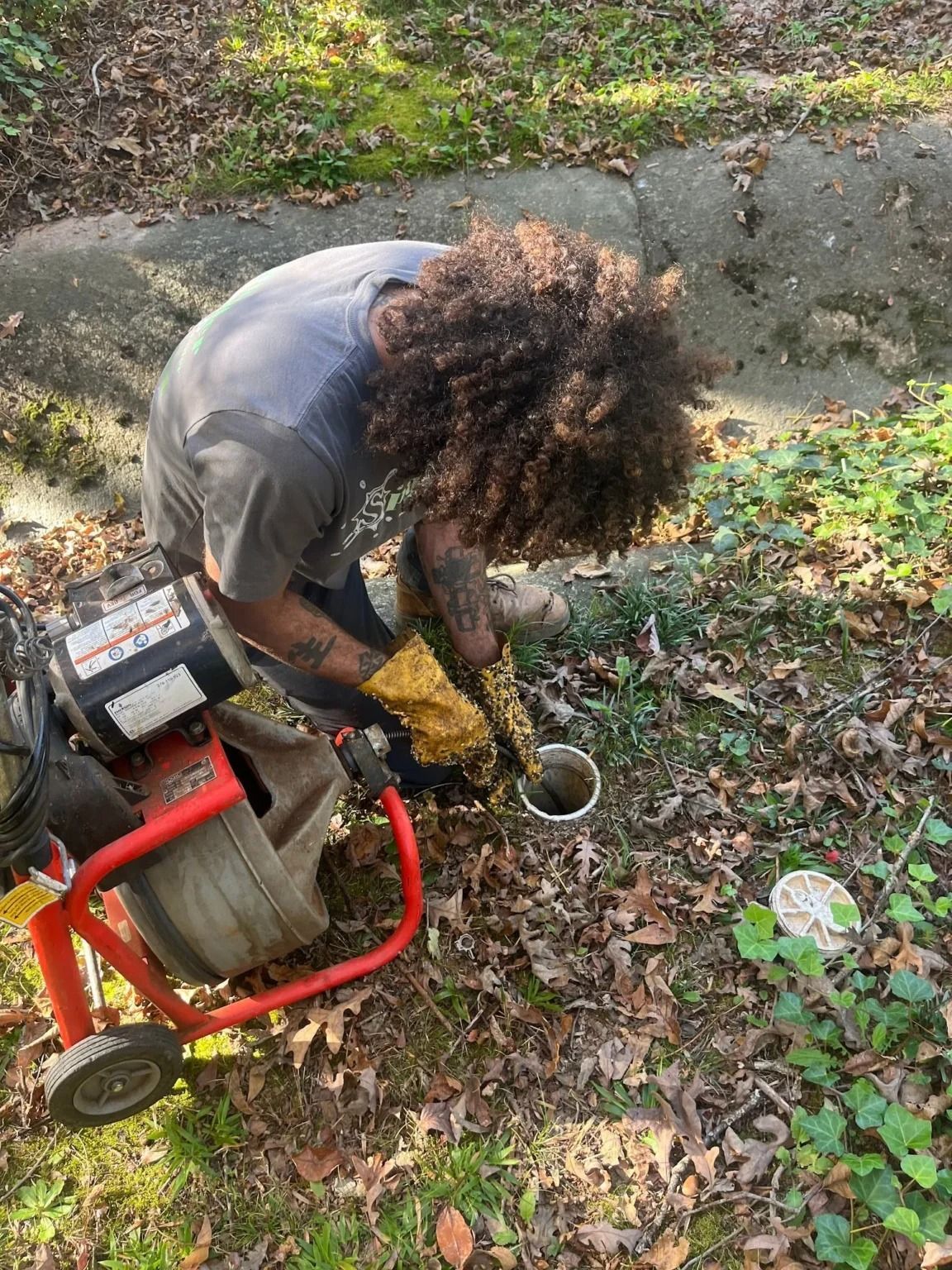 Person using a red stump grinder on a tree stump in a wooded yard