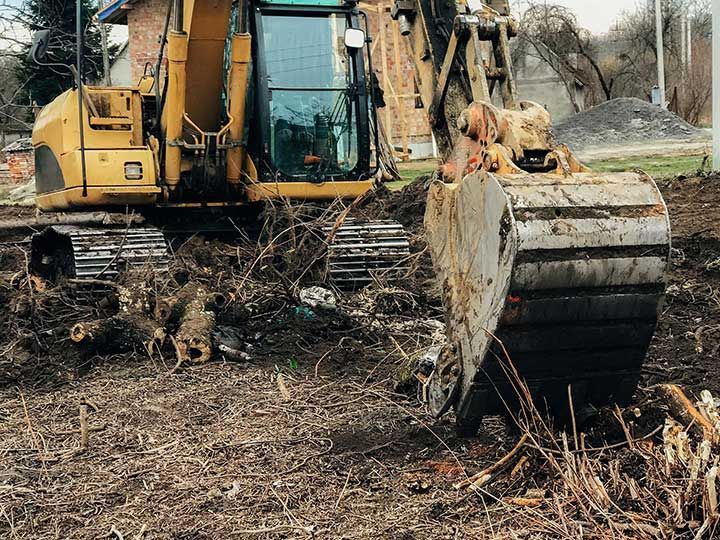 Excavator uprooting trees on land