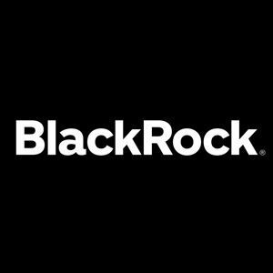 BlackRock logo in white text on a black background