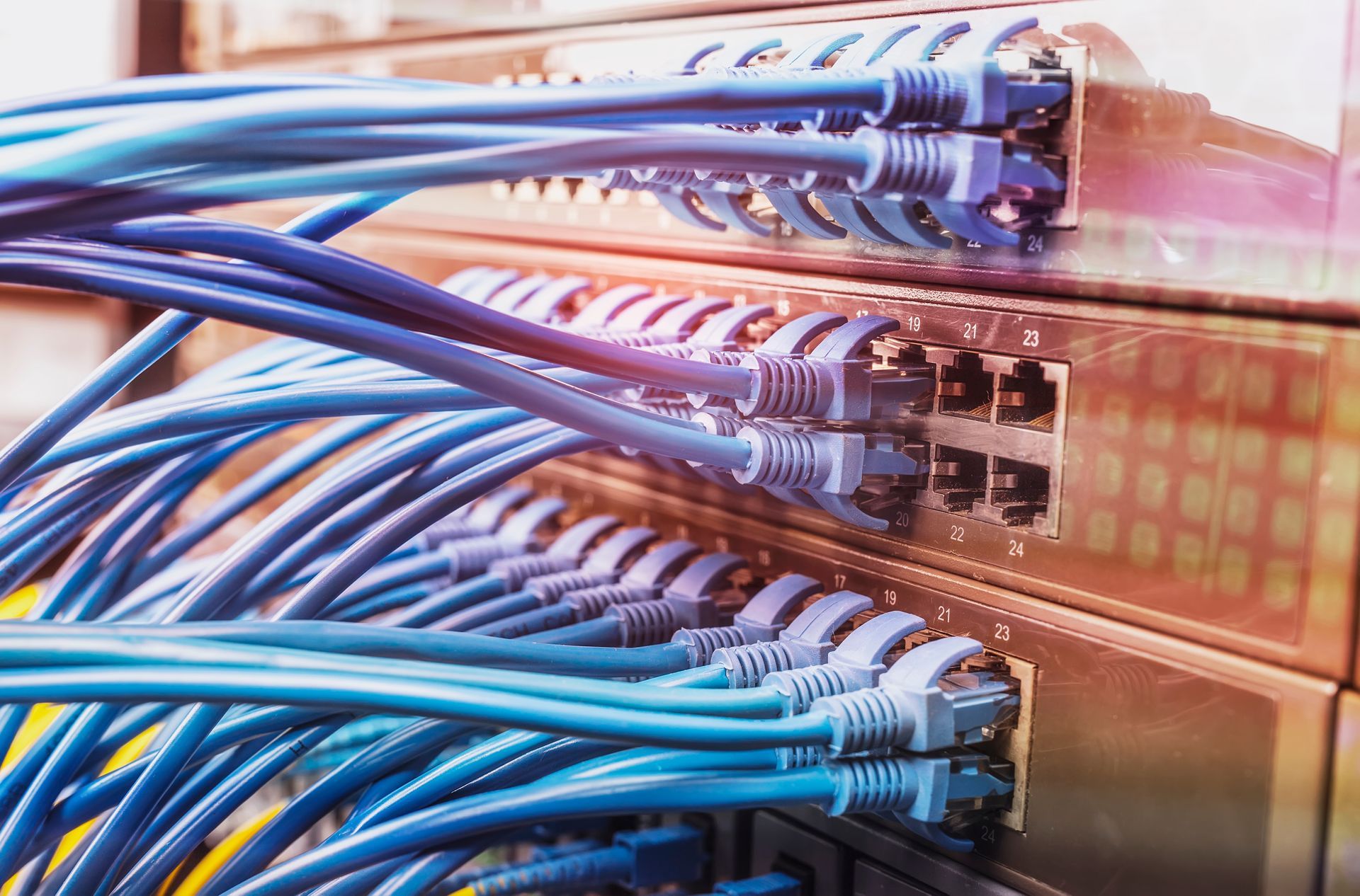 Blue Network Cables Plugged Into Server Hardware — Powered By JBES In Sandgate, NSW