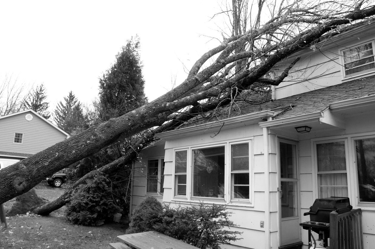 Prepare Your Home For Winter Storms