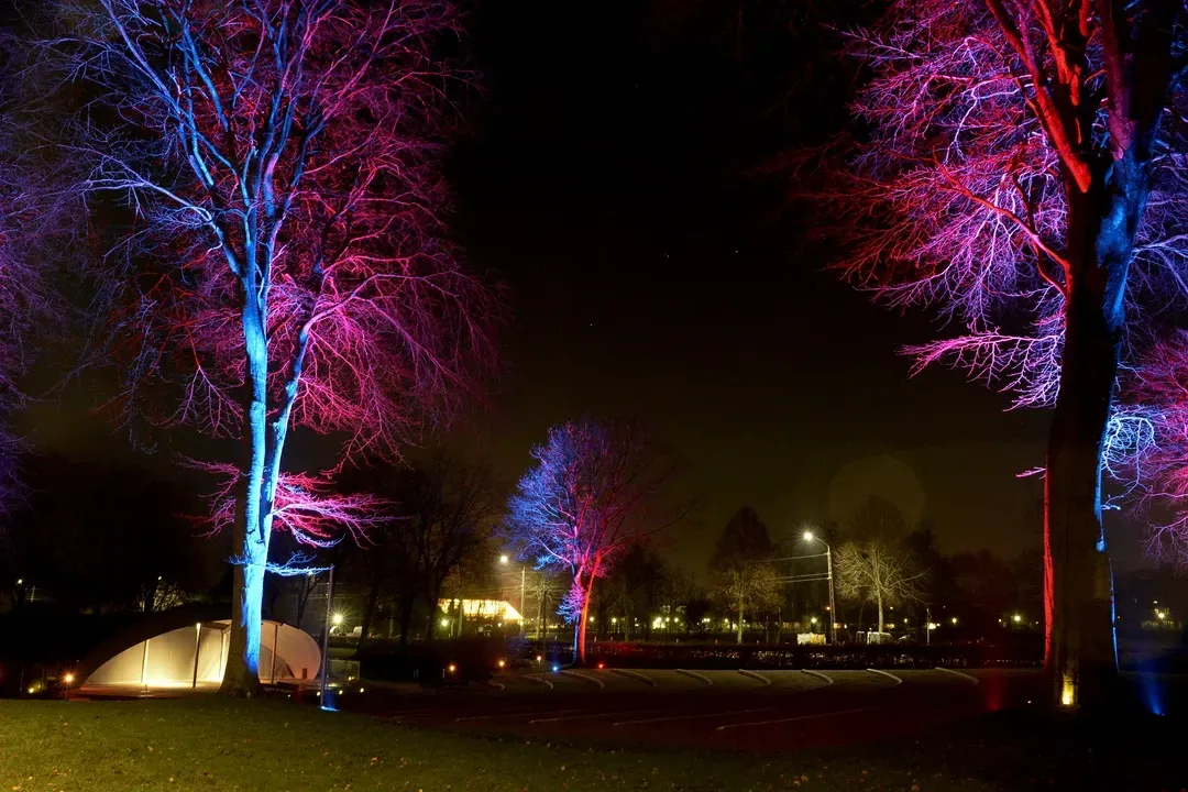 ODIN 2.0 effektlys til træer belyst med LED nedgravning. belyste træer i park