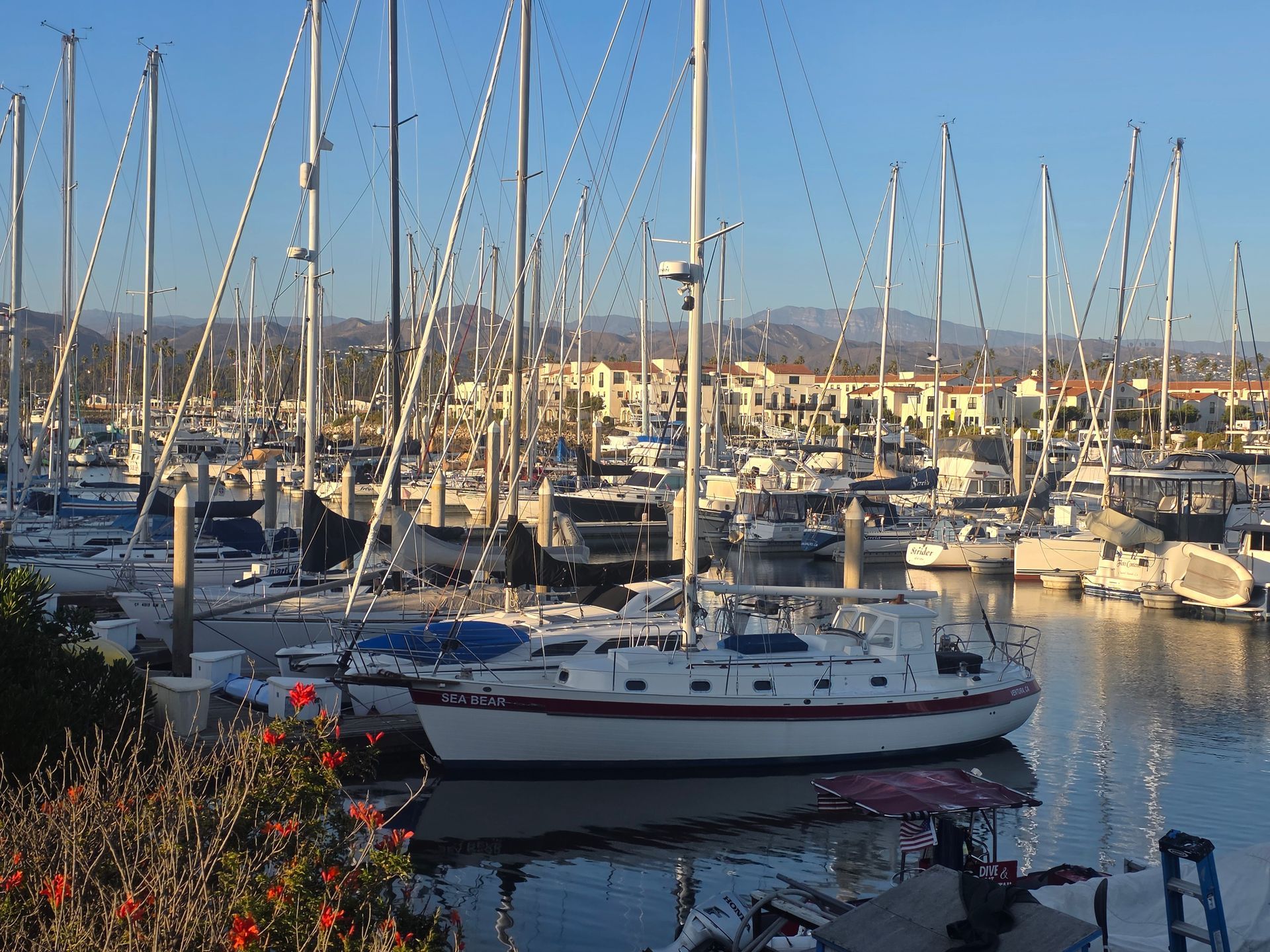 Sailboats docked in a harbor, masts reaching towards a clear sky; buildings and mountains in the background.