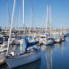 Sailboats docked in a harbor on a sunny day.