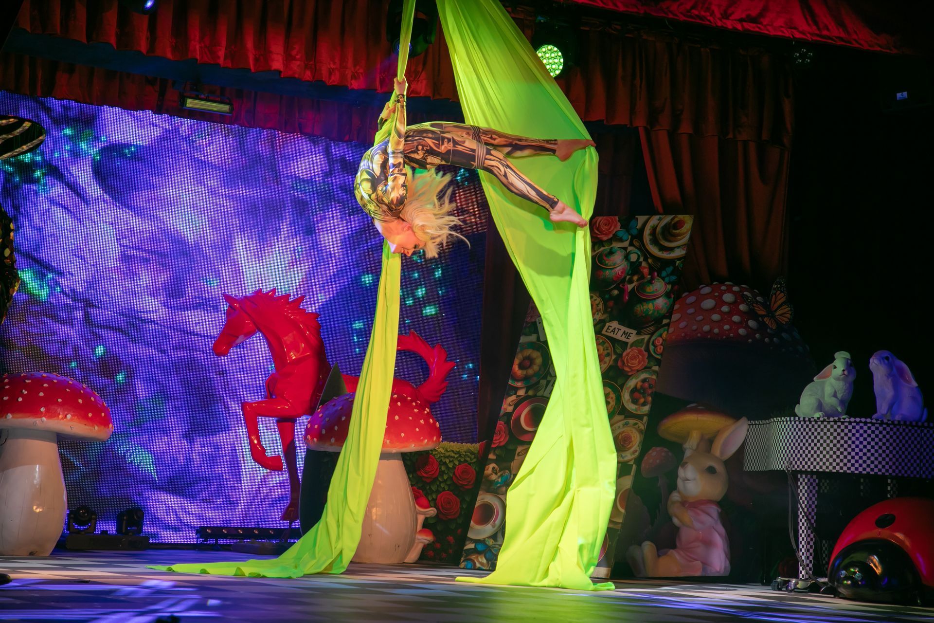 Sanne Acrobatie