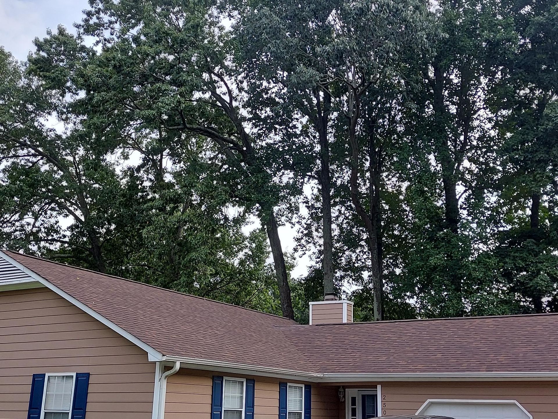 finished roof