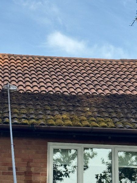 Roof cleaning: One half of red tile roof is clean, the other half is covered in moss, visible from below.