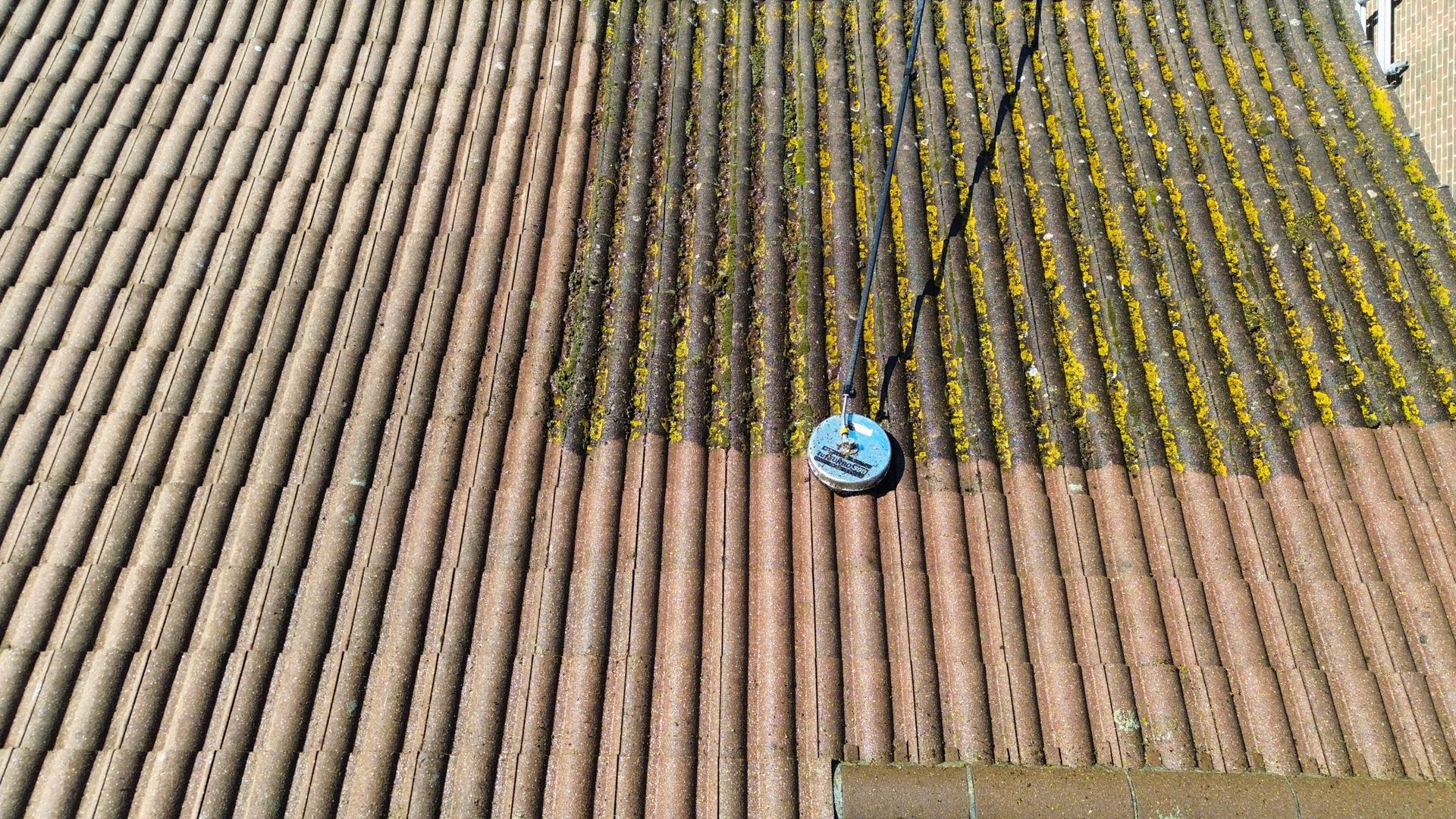 Roof cleaning: half of tile roof clean, other half covered in green moss.