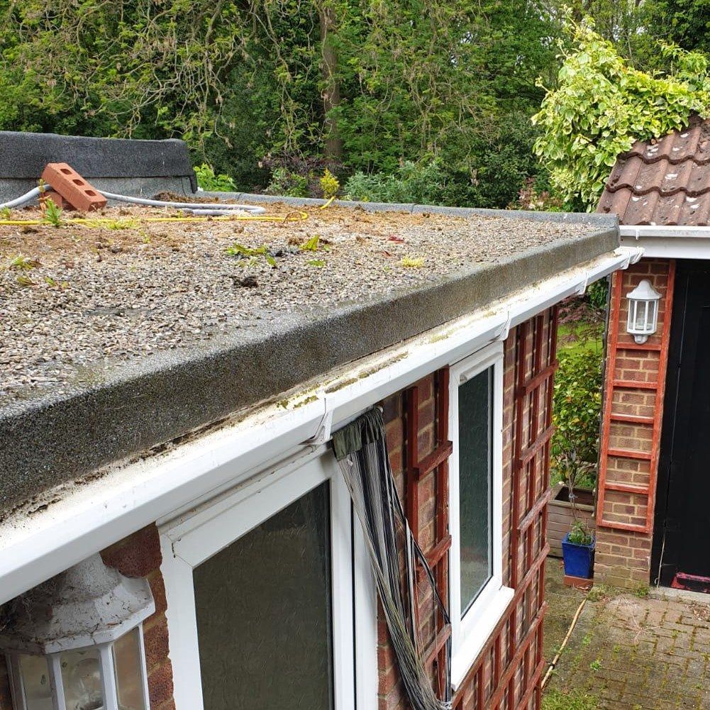 A low-sloped, moss-covered roof with a white gutter, on a brick building with windows.