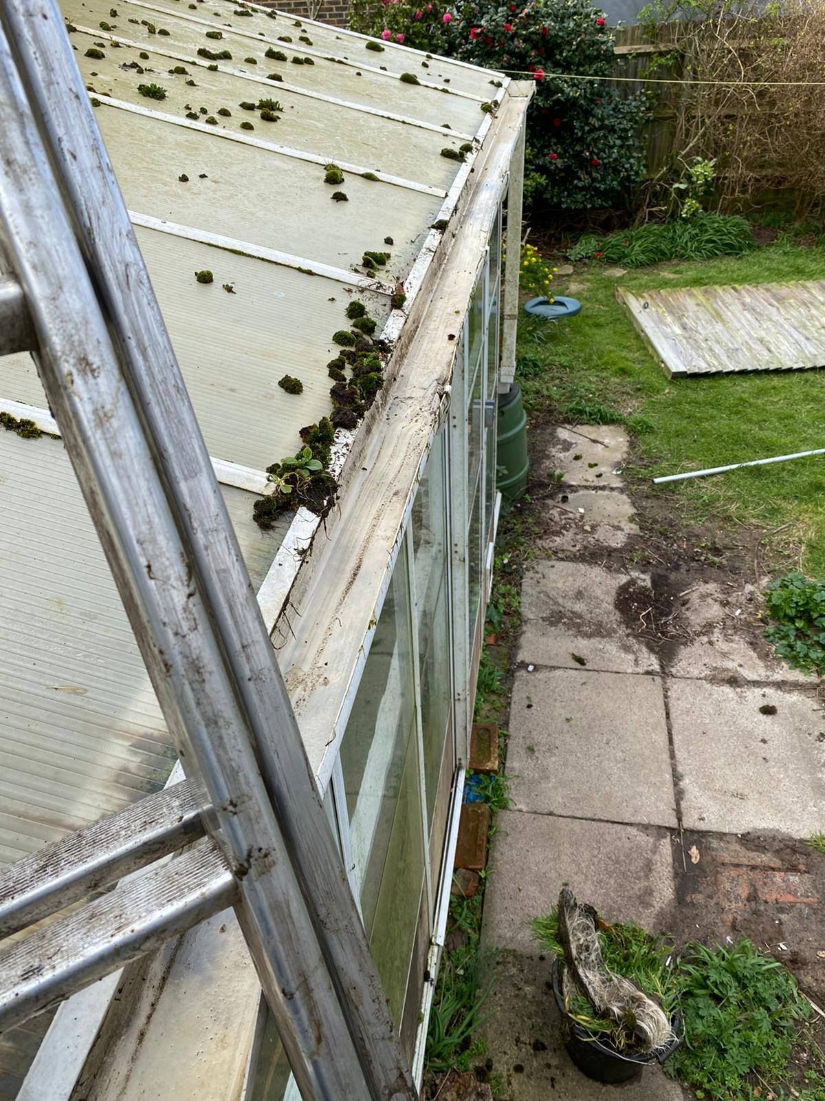 Greenhouse with moss, a ladder, and a stone path.