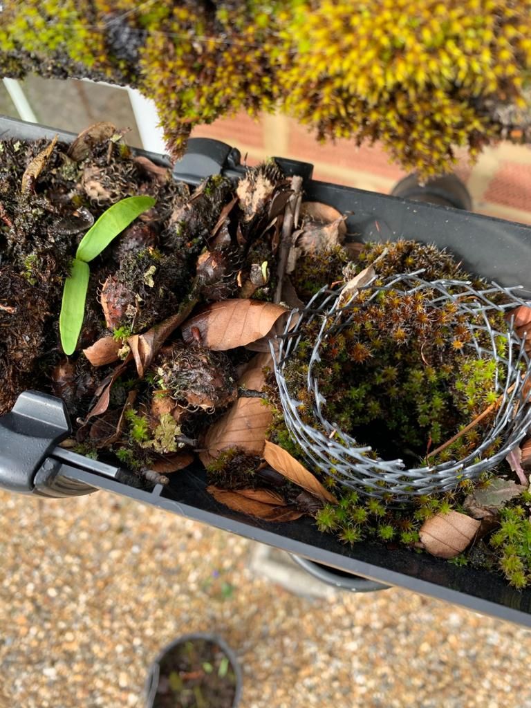 Gutter filled with debris, including leaves, moss, and a wire mesh guard.