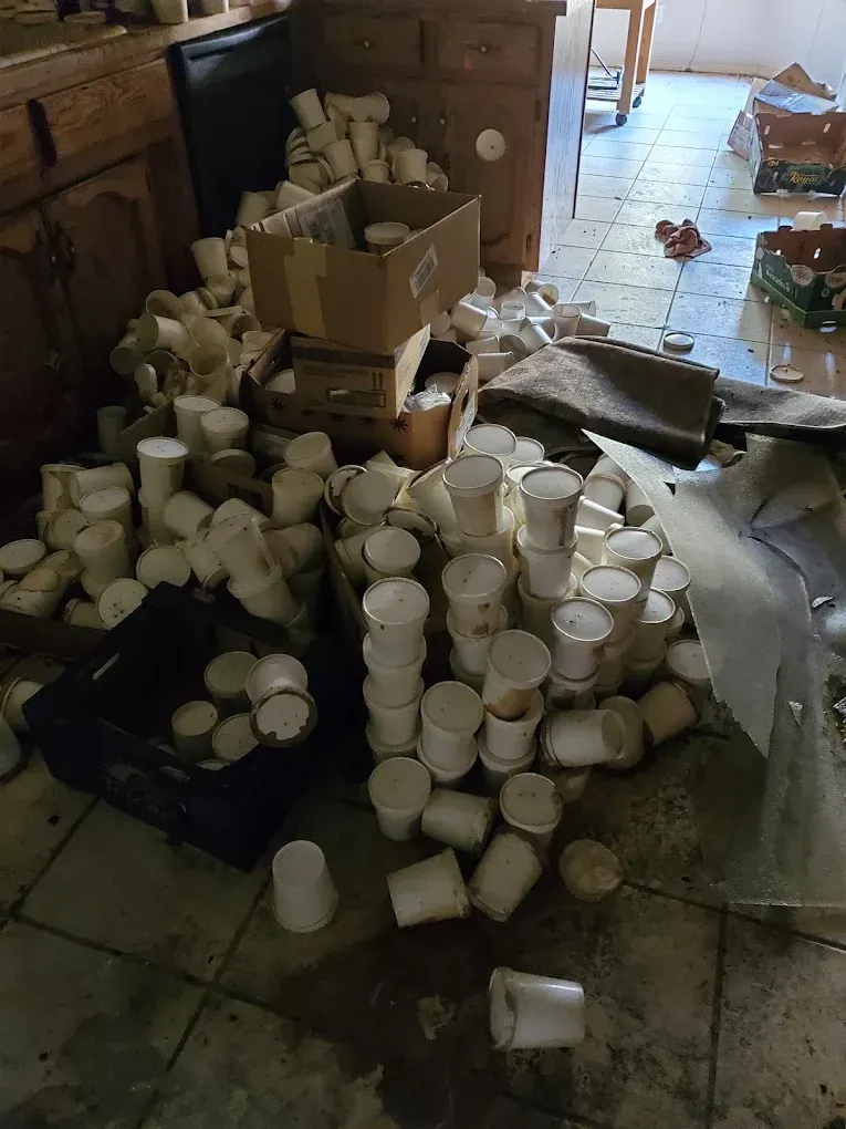 Kitchen floor covered with spilled white cups and broken dishes beside cabinets and a doorway