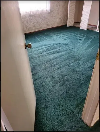 Empty room with teal carpet, white walls, and an open door