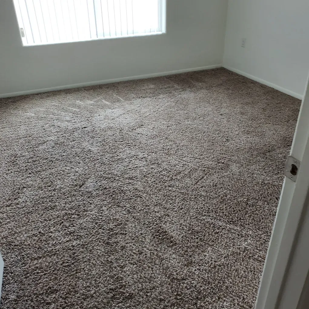 Empty carpeted bedroom with white walls and a window