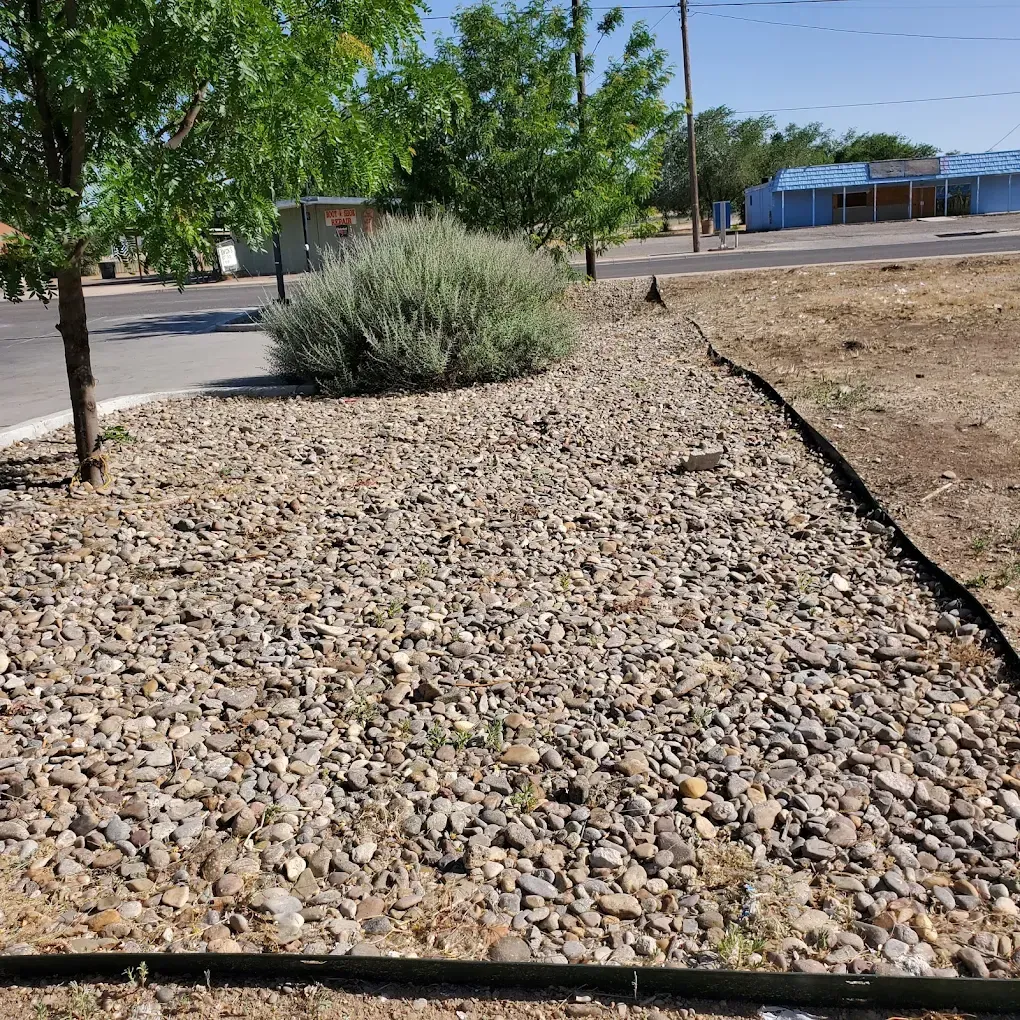 Rock-covered front yard with a small shrub and tree, bordered by a curb along a quiet street