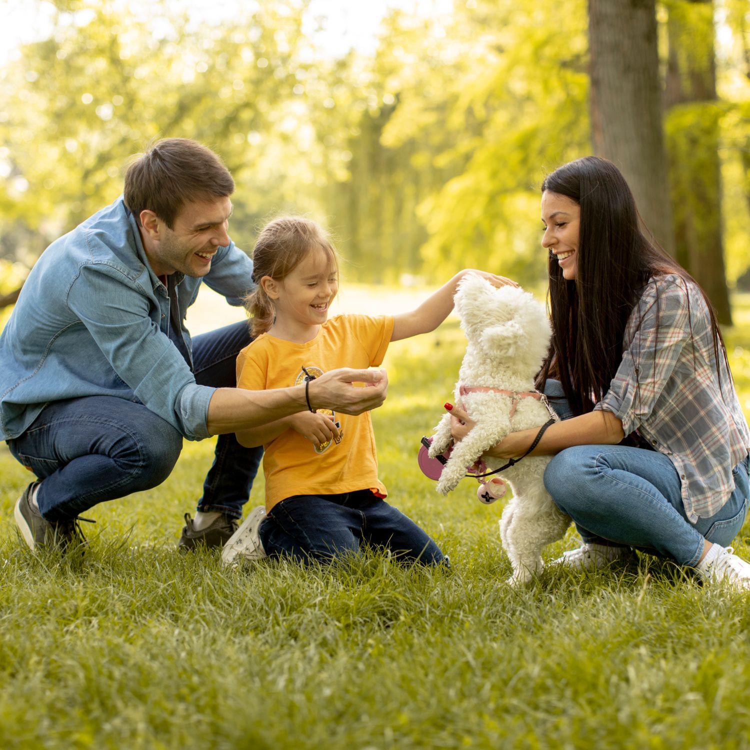 A family is playing with a dog in the park.