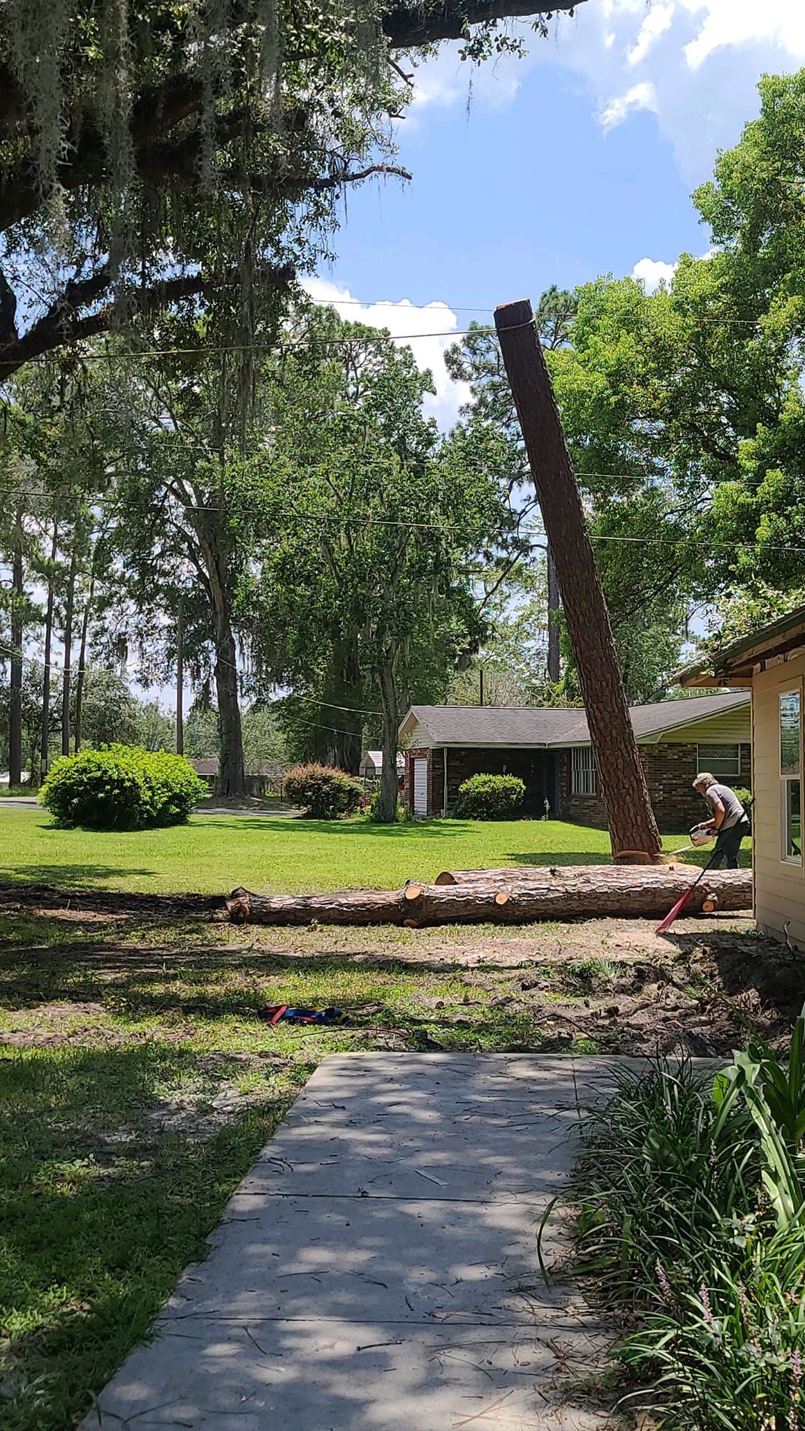 Land, Lawn, and Home Services Live Oak, FL Busy Bee