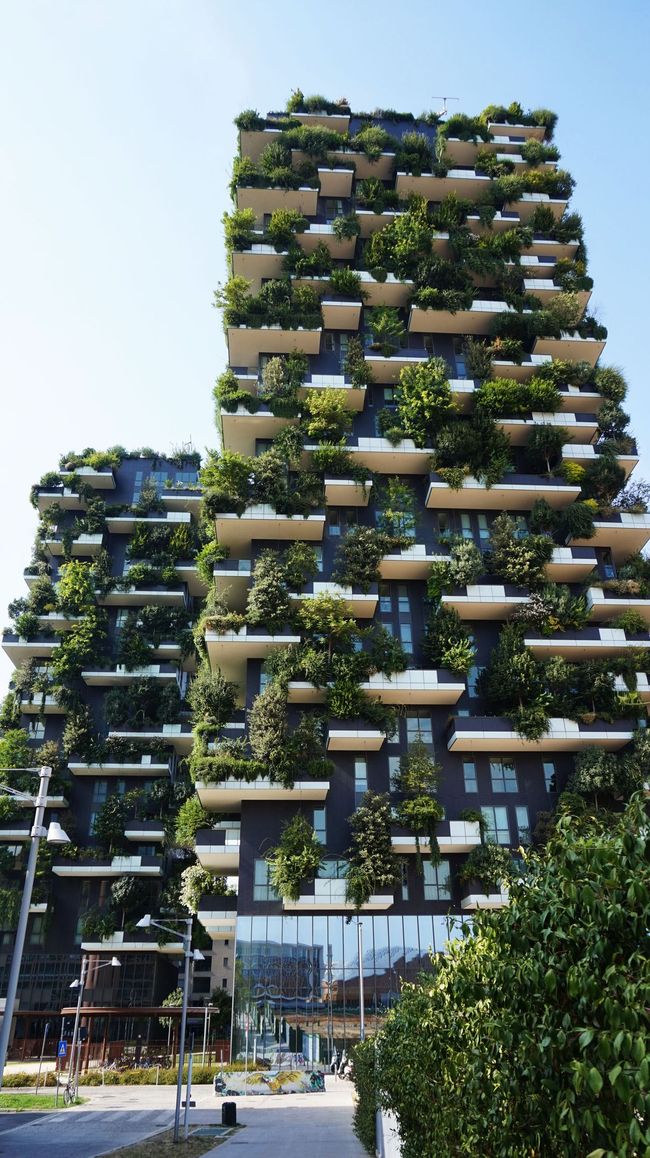 Condomini ricoperti di verde a Milano, Italia, con alberi che crescono sui balconi.