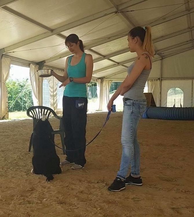 Due donne addestrano un cane nero a stare seduto al guinzaglio all'interno di un'arena allestita sotto un tendone.