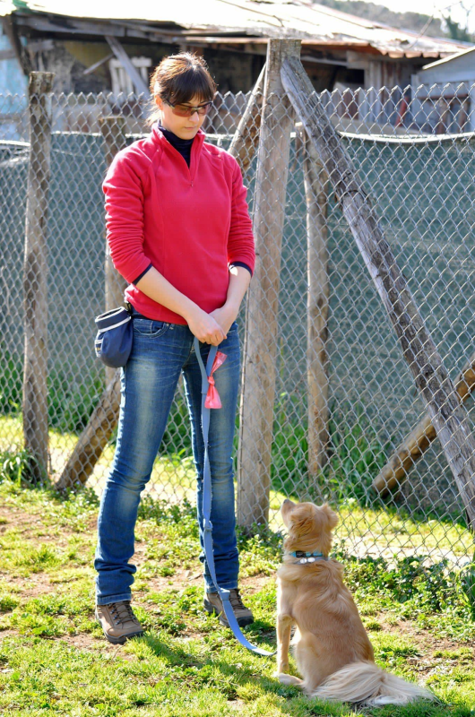 Una persona con un maglione rosso è in piedi in un cortile, con un cane al guinzaglio seduto nelle vicinanze.