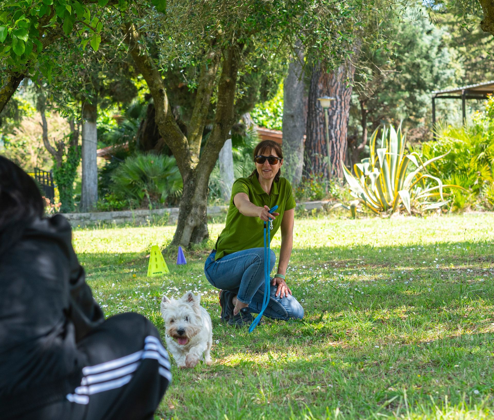 Una donna è inginocchiata sull'erba con un cagnolino bianco in un parco soleggiato, con pigne e alberi nelle vicinanze.