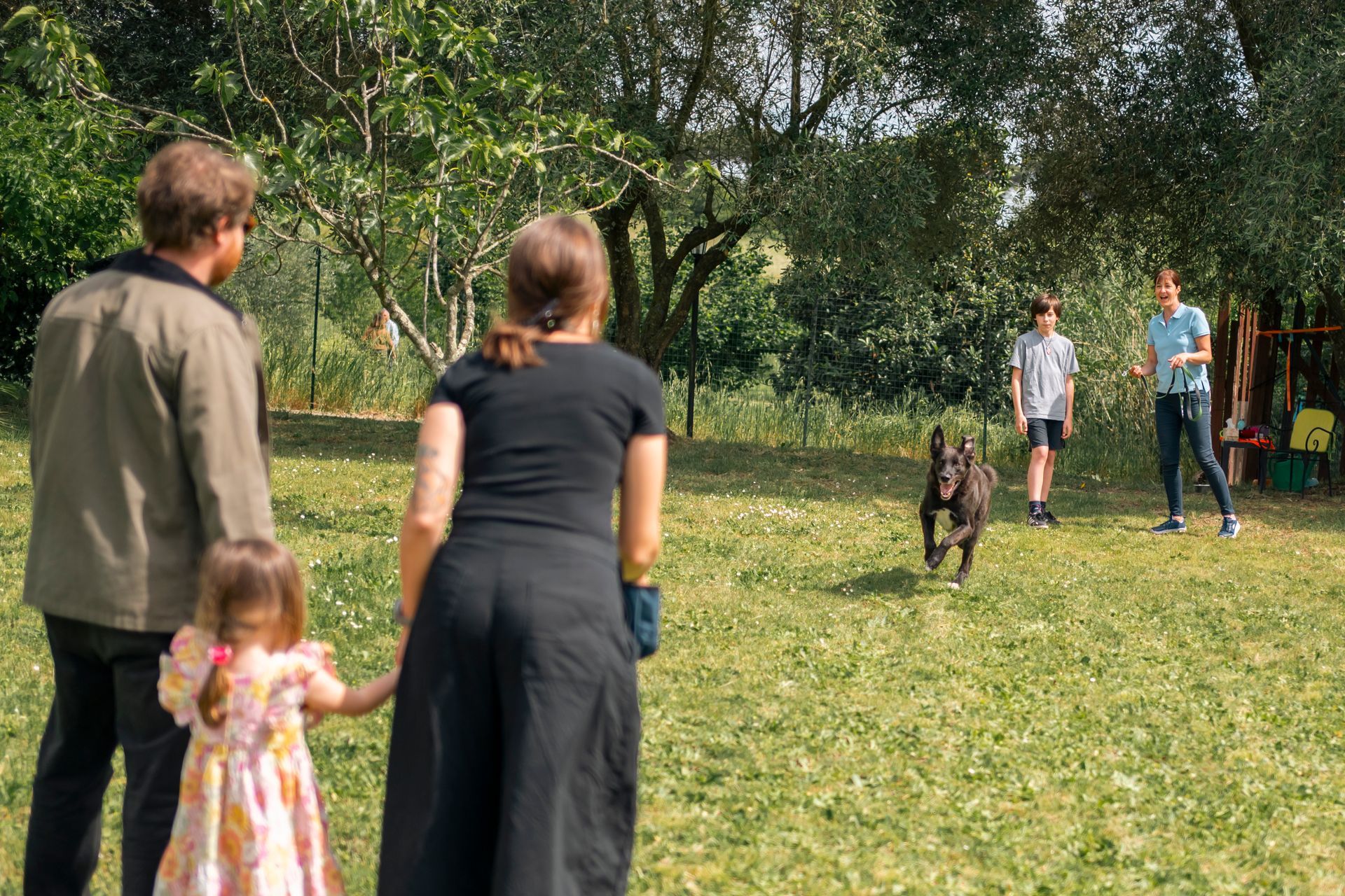 Persone che guardano un cane correre in un parco erboso con alberi sullo sfondo.
