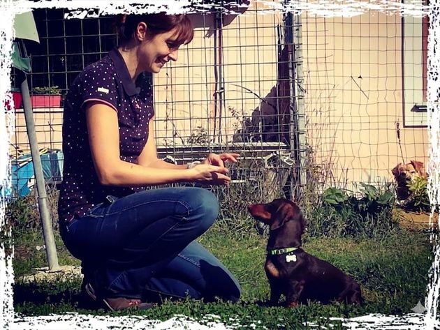 Una donna è inginocchiata in un cortile e dà da mangiare a un piccolo cane marrone seduto attentamente accanto a lei.
