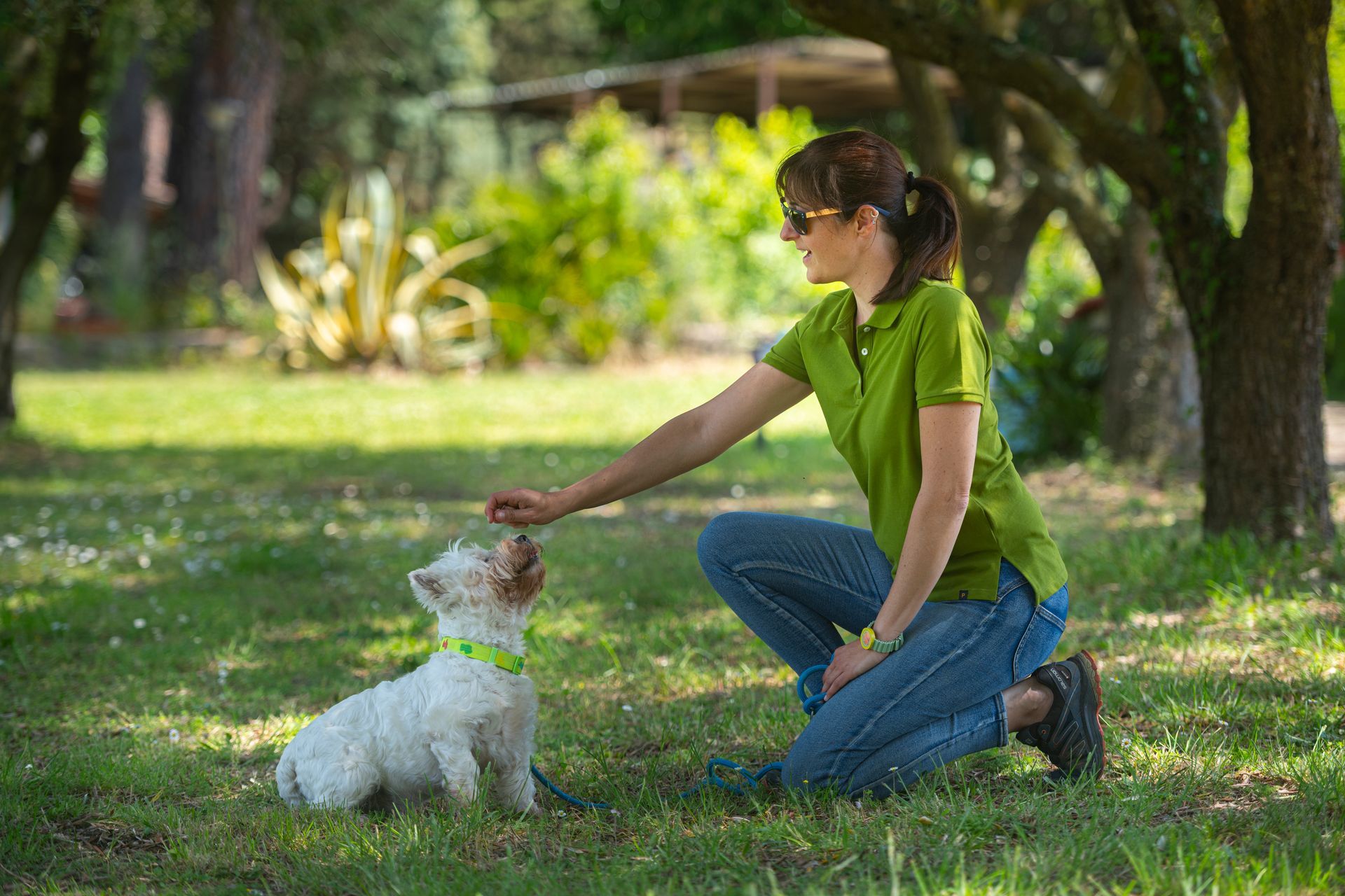 Una donna con una maglietta verde è inginocchiata sull'erba e accarezza un cane bianco in un parco soleggiato.