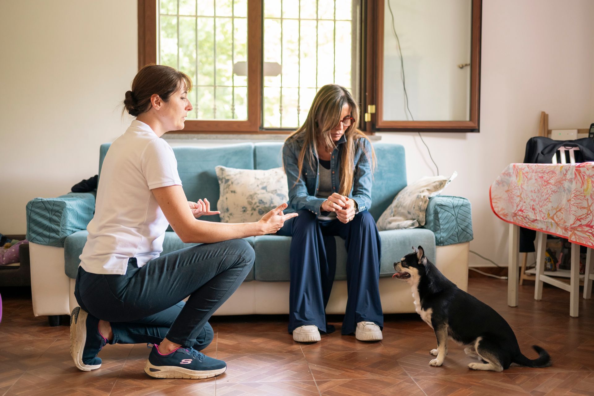 Due persone in un ambiente interno, una inginocchiata e una seduta, interagiscono con un cagnolino vicino a un divano blu.