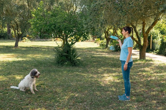 Una donna vestita di blu si trova in un parco e tiene in mano un frisbee blu, mentre un cagnolino le siede di fronte.
