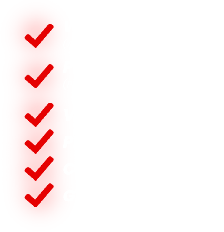 Six red check marks on a white background, suggesting a completed checklist.