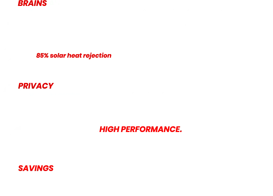 Text in red: BRAINS, 88% solar heat rejection, PRIVACY, HIGH PERFORMANCE., SAVINGS.