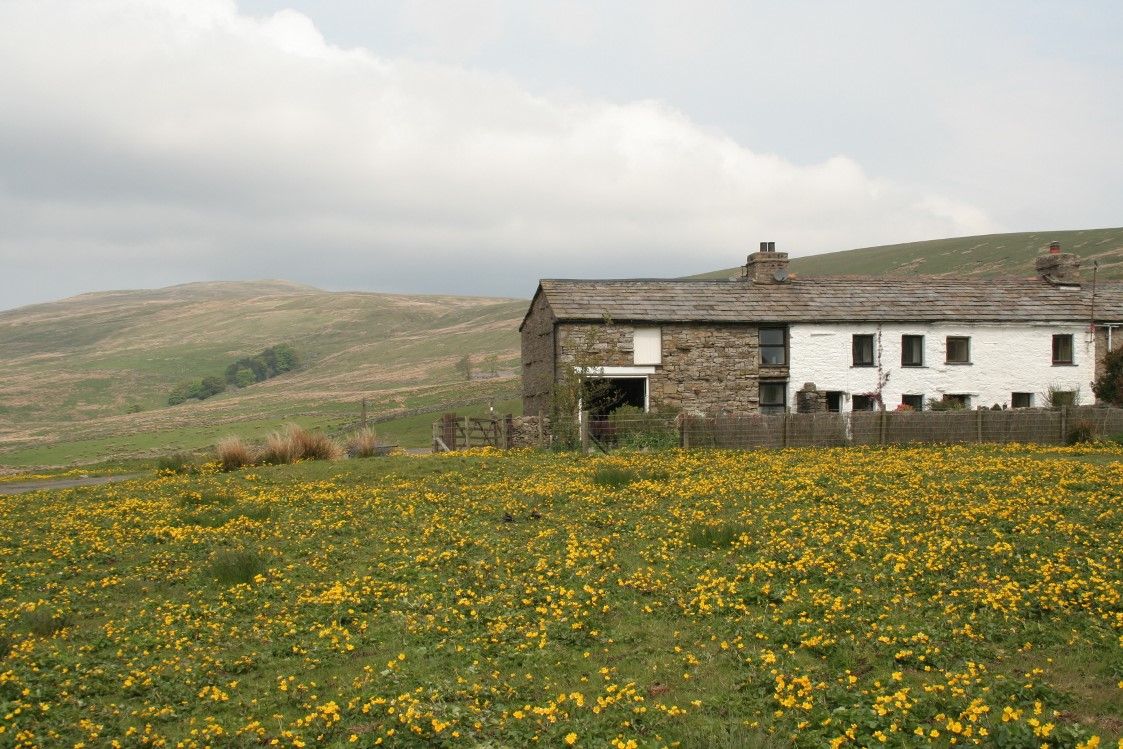 Moor Rigg Farm