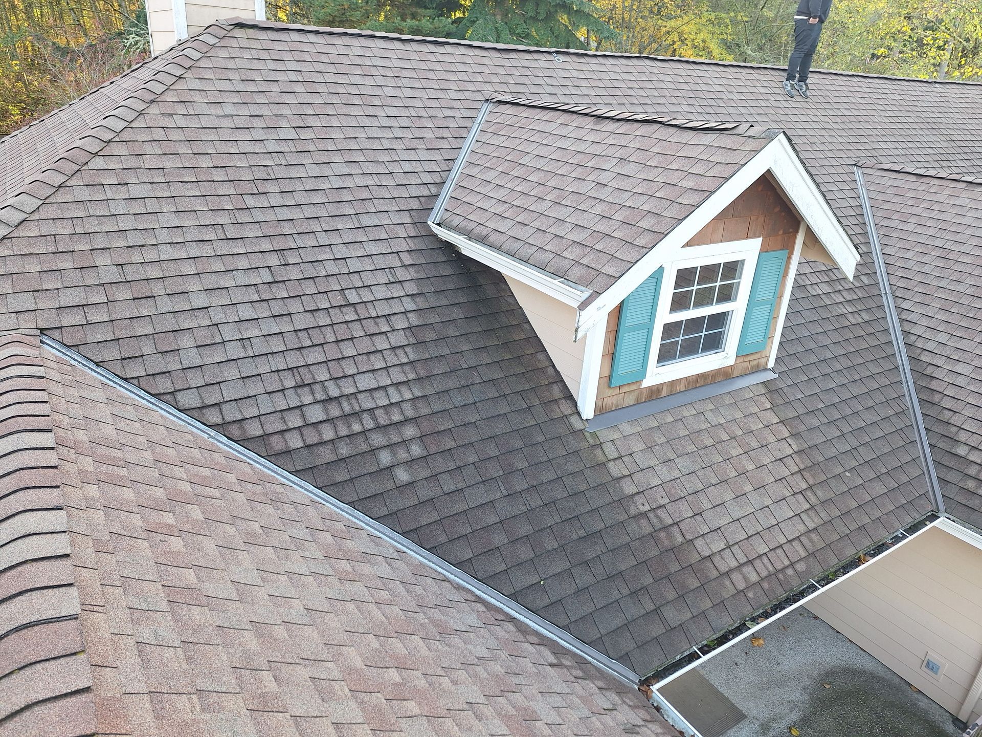 Aerial view of a house roof with gray shingles and a small dormer window with teal shutters.
