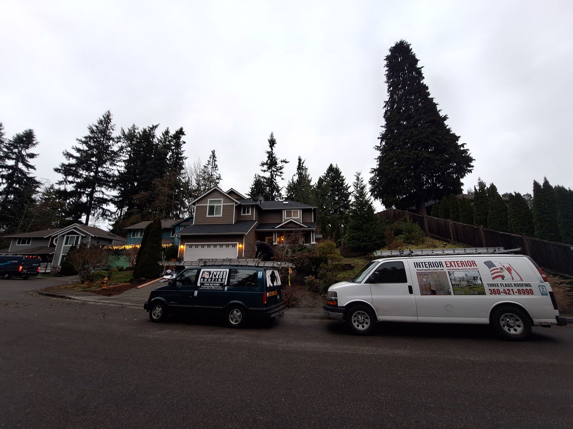 Street view of parked vans and a house among tall evergreen trees on an overcast day