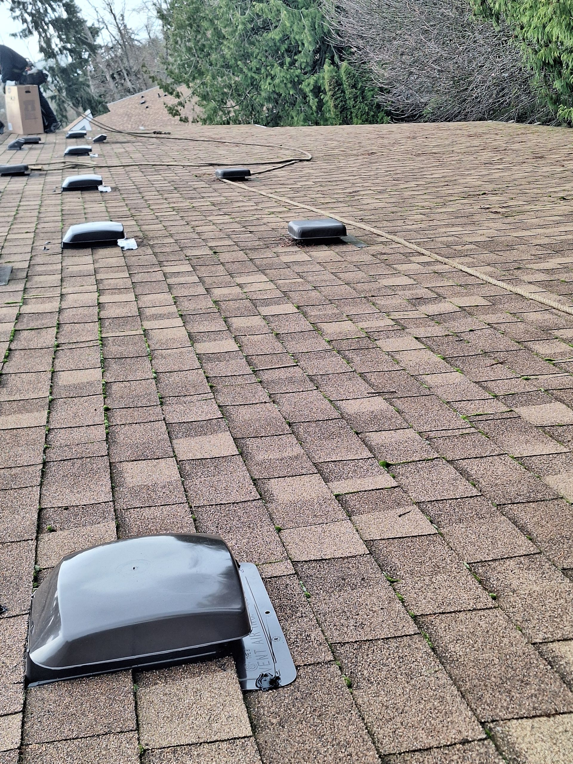 Rooftop with brown shingles and several small black roof vents under a clear sky.