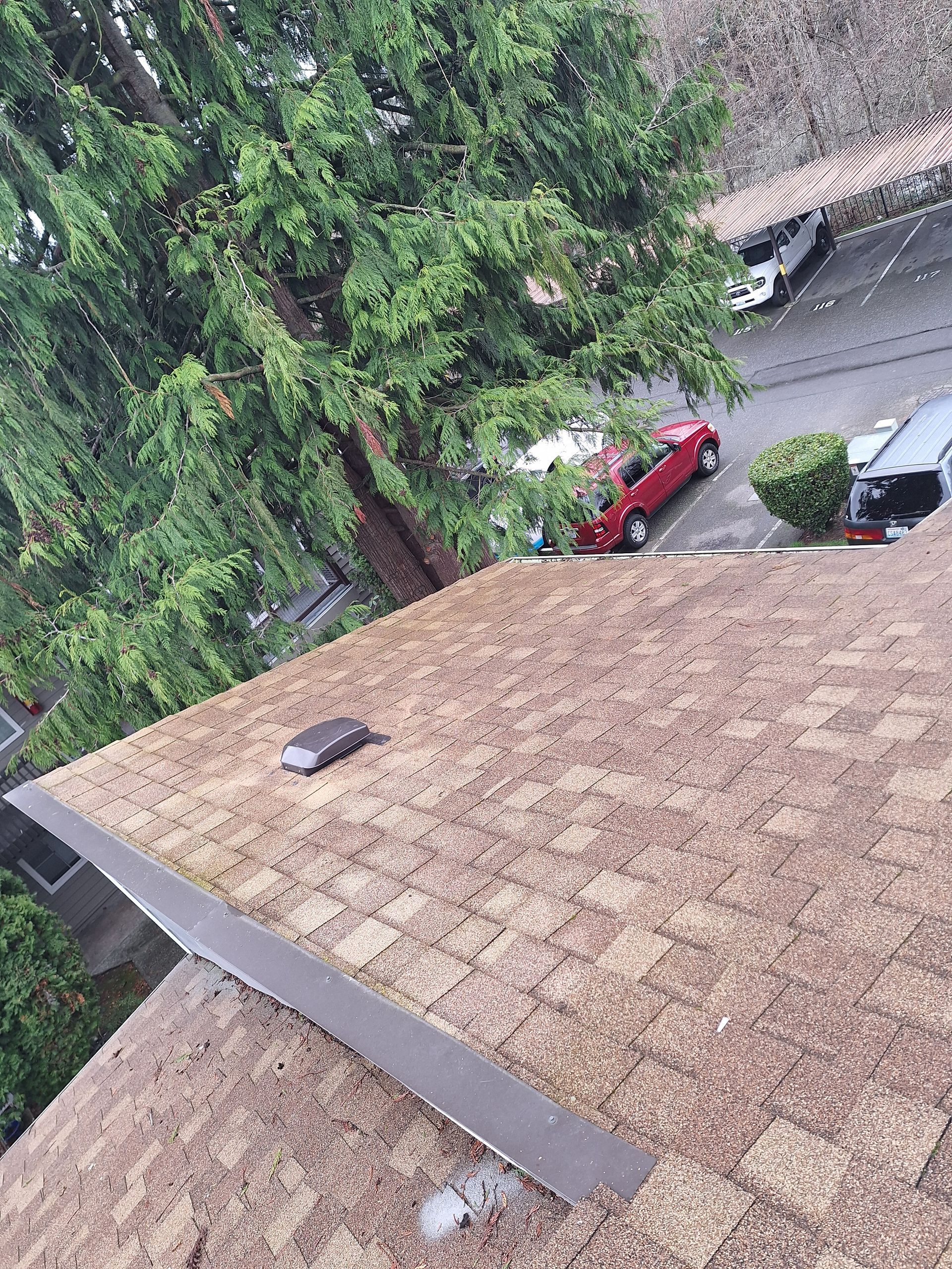 Tilted view of a shingled roof with trees, a red car, and a street below after rain