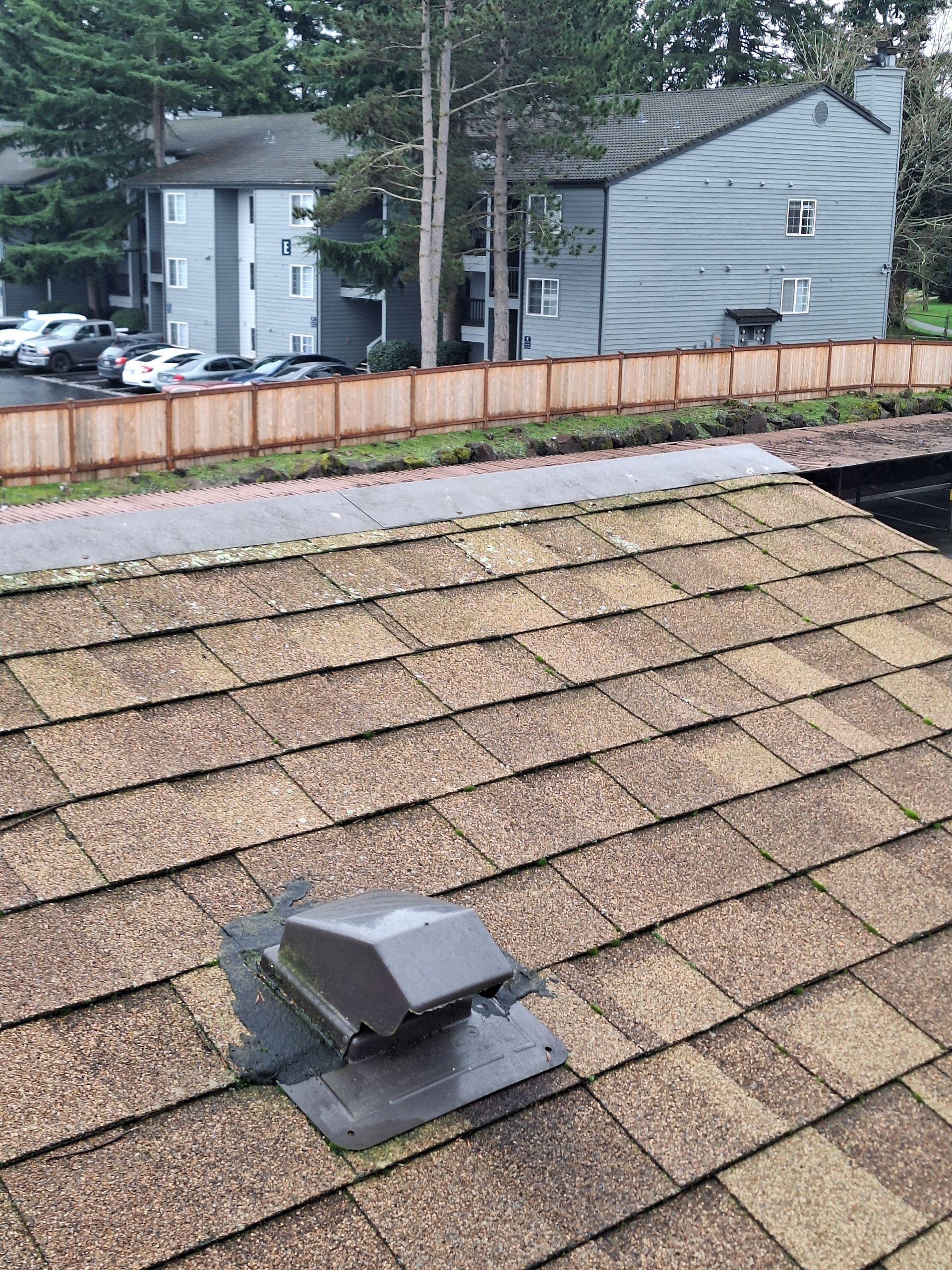 Roof shingles with a black vent, overlooking neighboring houses and a wooden fence
