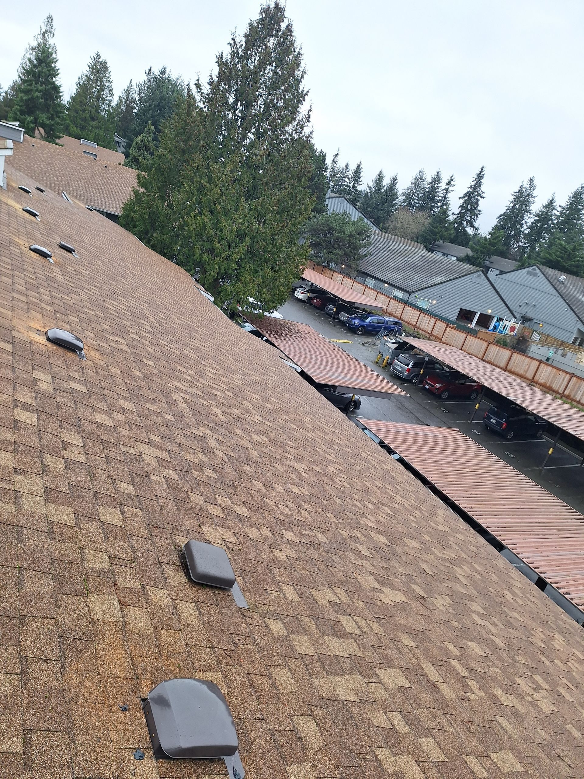 Steep shingle roof with vents beside a partially covered outdoor area and tall trees beyond