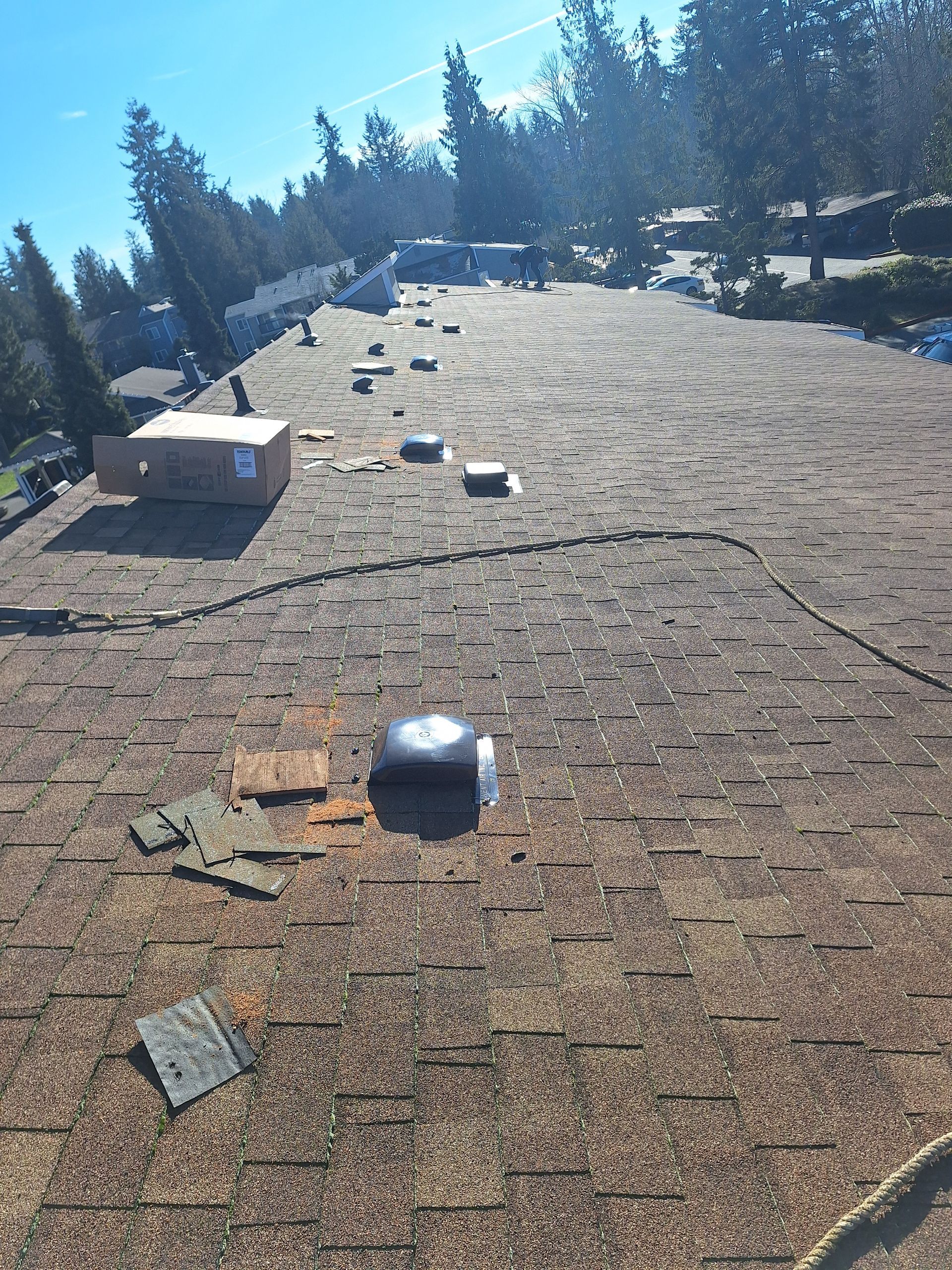 Roof with scattered patches and vents beneath a bright blue sky, with evergreen trees in the background