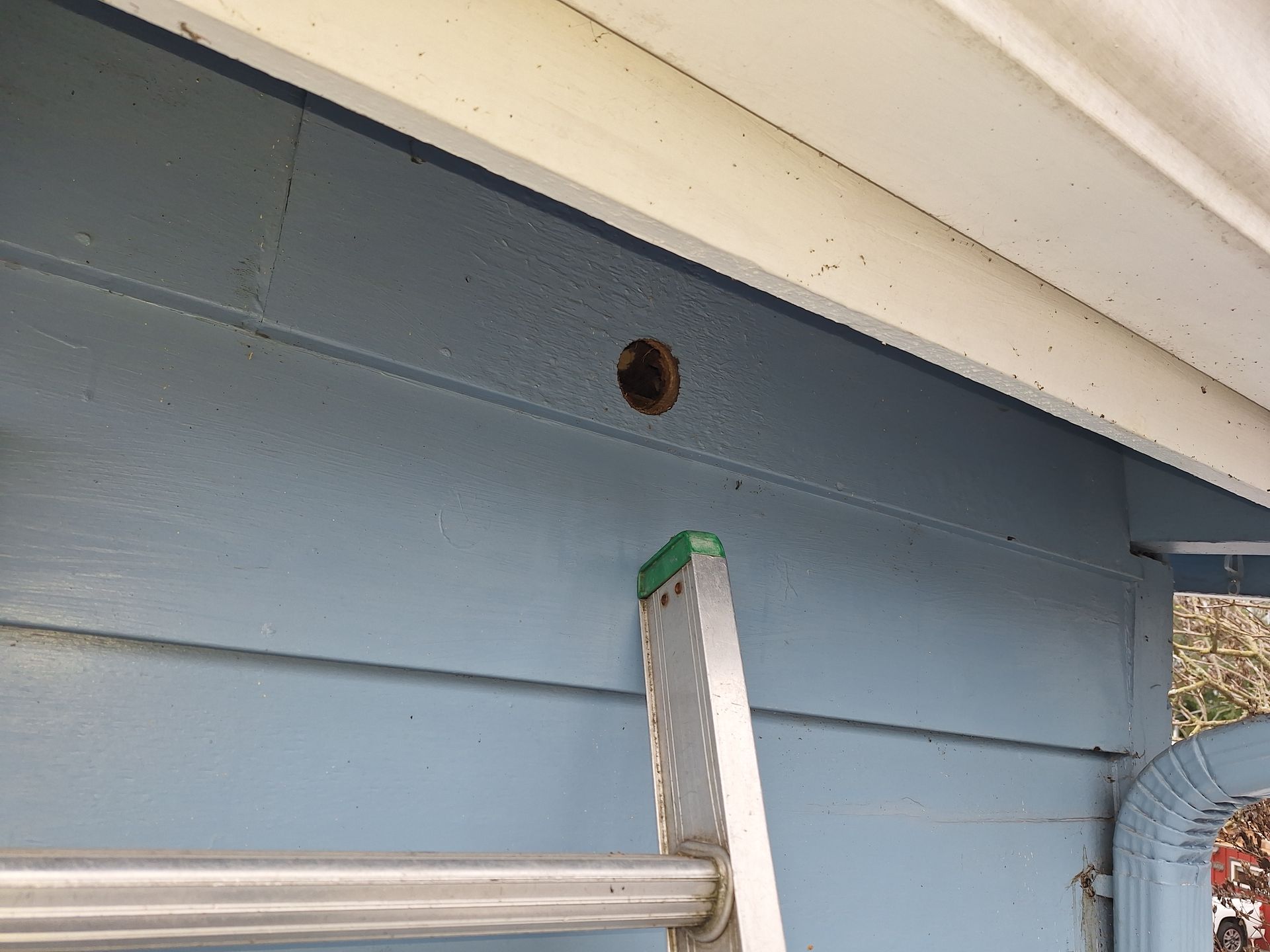 Blue house eave with a small circular hole and a ladder leaning against the wall