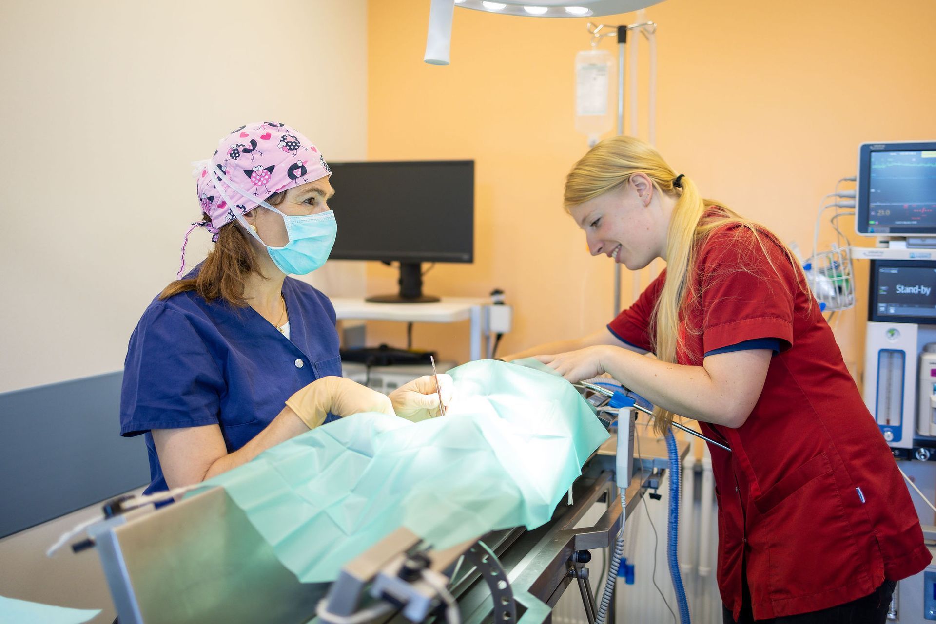 Medewerkers van Dierenkliniek Capelle bereiden een operatie zorgvuldig voor