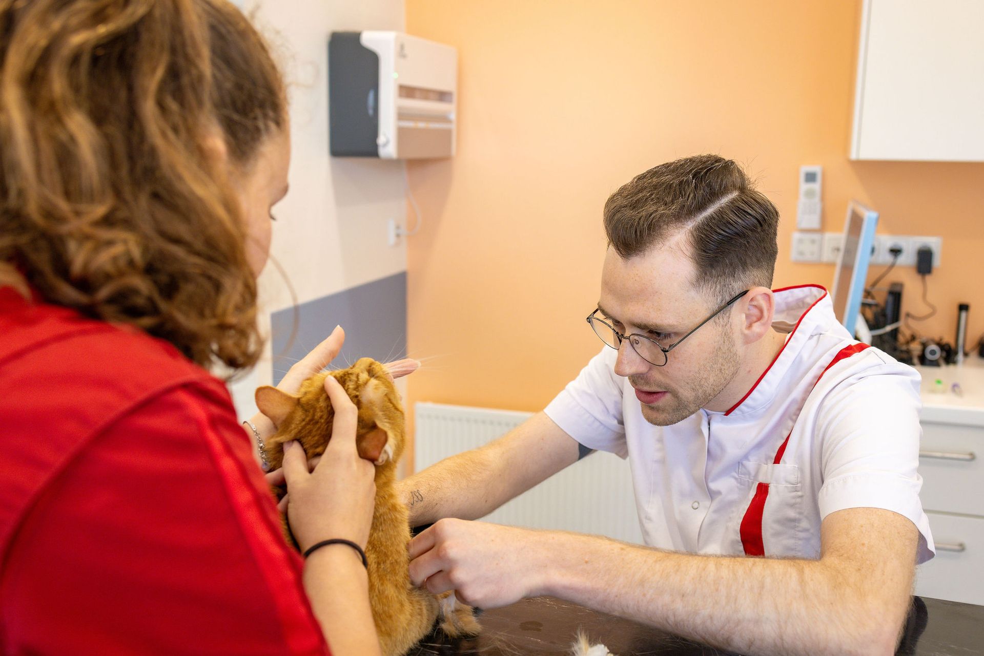 Dierenarts onderzoekt een dier tijdens een diagnostisch consult bij Dierenkliniek Capelle