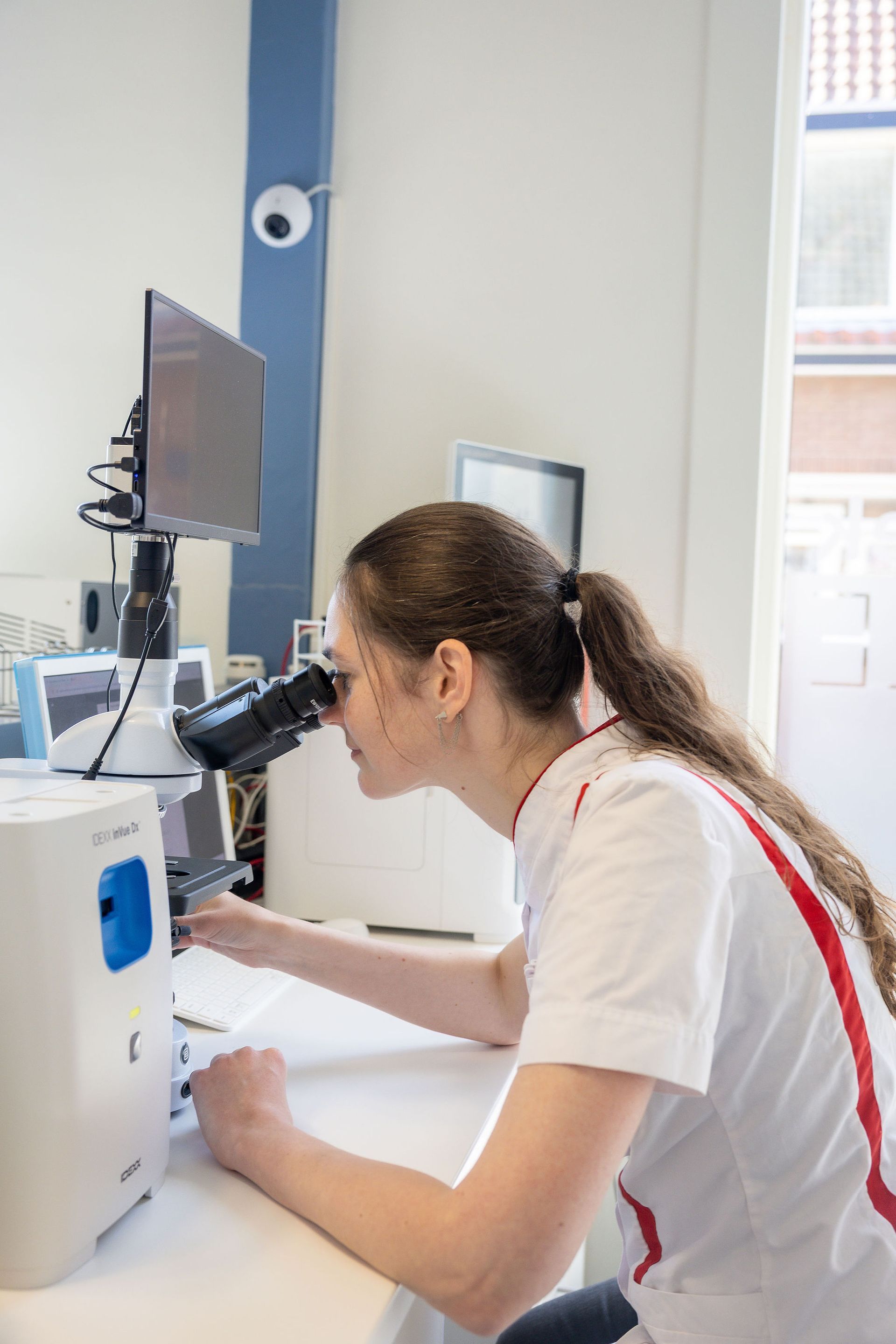 Medische apparatuur in de behandelruimte van Dierenkliniek Capelle