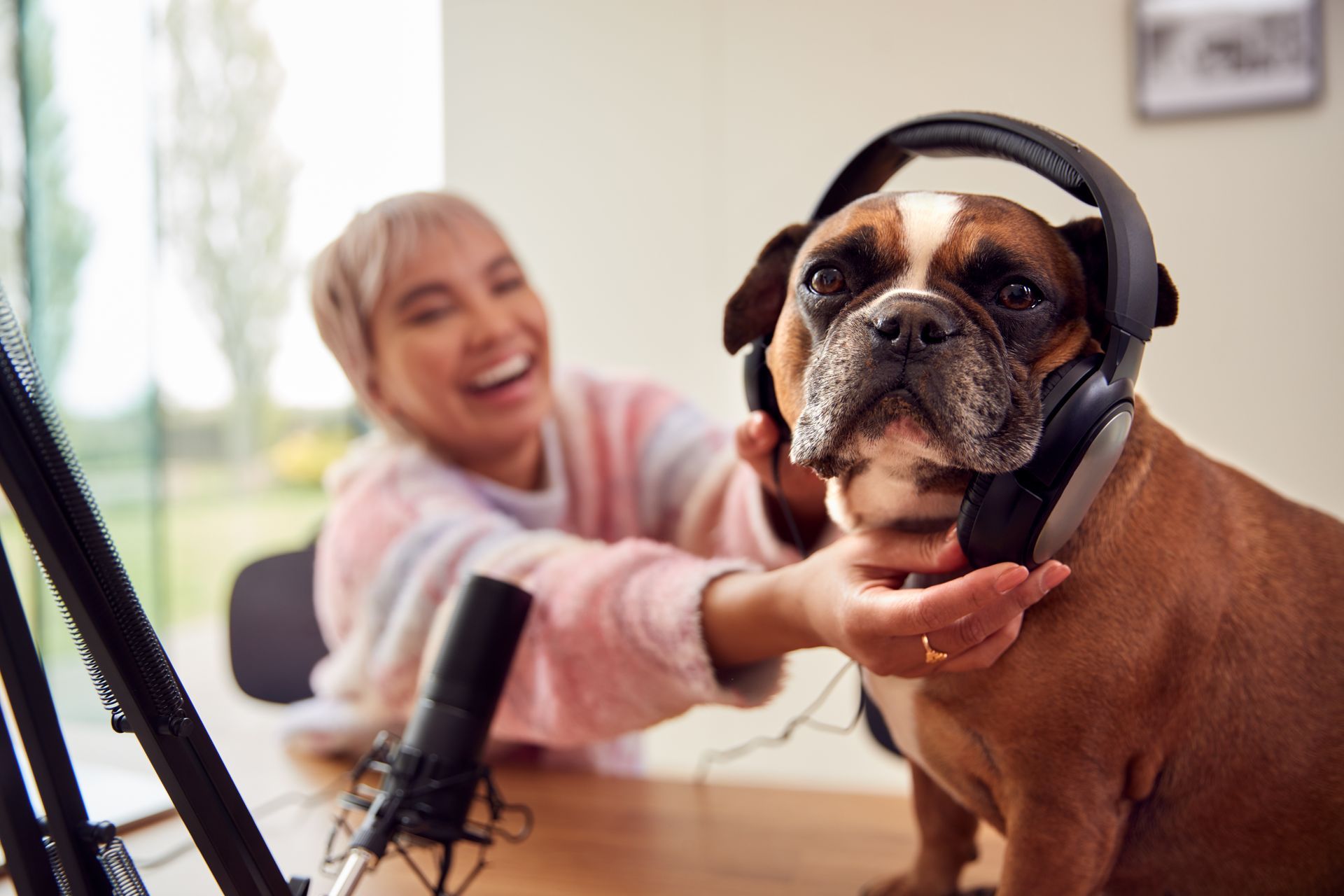 Een persoon lacht naast een bulldog die een koptelefoon draagt in een lichte kamer met een microfoon op de voorgrond.